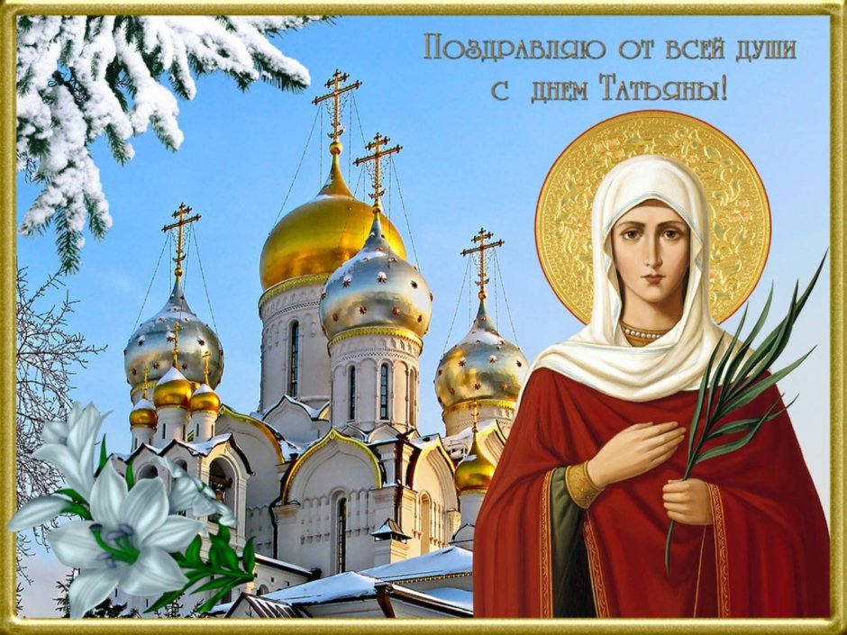 Шуточные открытки с Татьяниным днем
