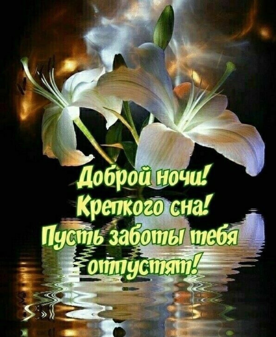 Спокойной ночи необычные оригинальные