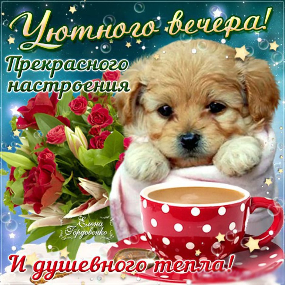 Поздравление с добрым вечером
