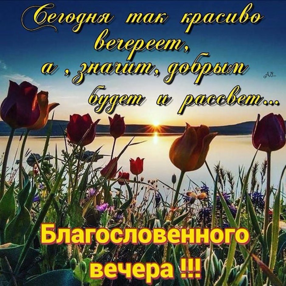 Добрый вечер Нинуля