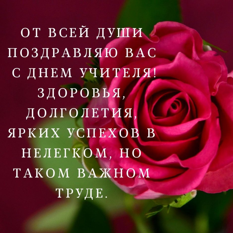Поздравление учителю открытка