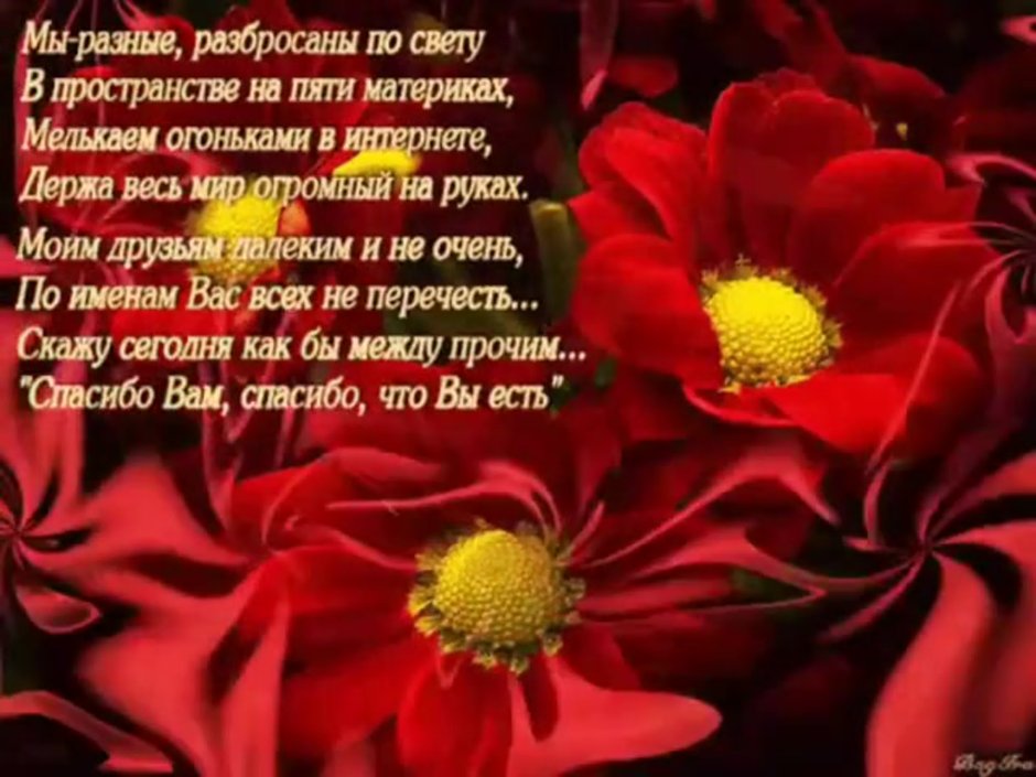 Спасибо друг