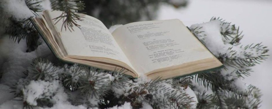 Книга на снегу