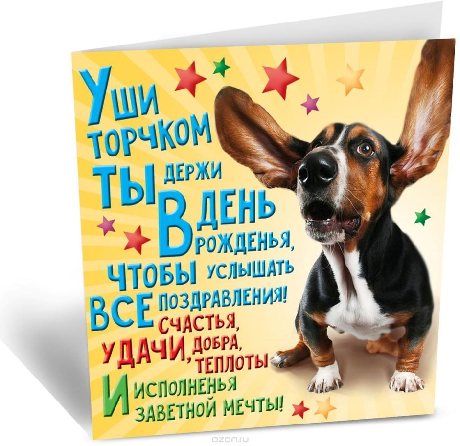 С днем рождения пух