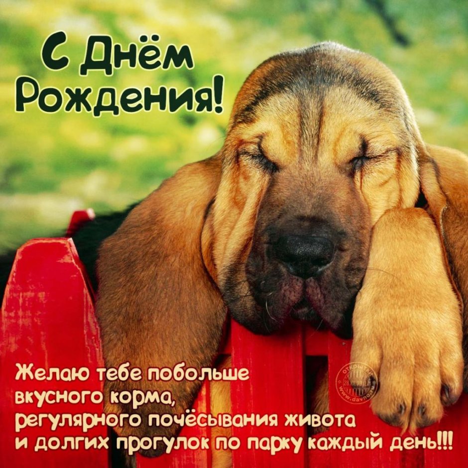 С прошедшим днём рождения мужчине прикольные
