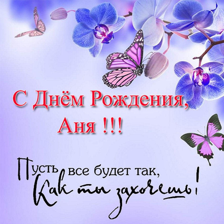 Михаил Киселев студенческие отряды