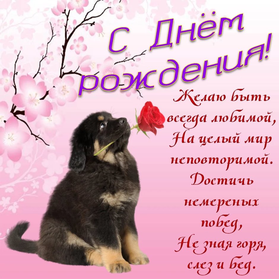 С днём рождения розы
