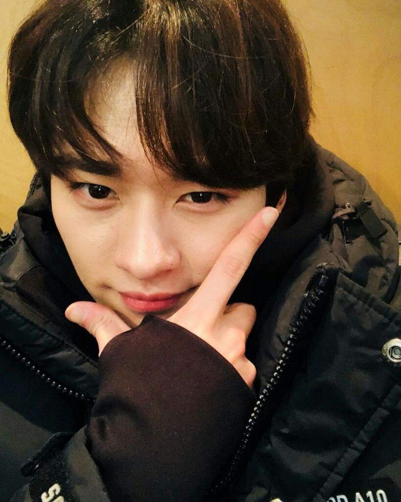 Ян Чонин из Stray Kids