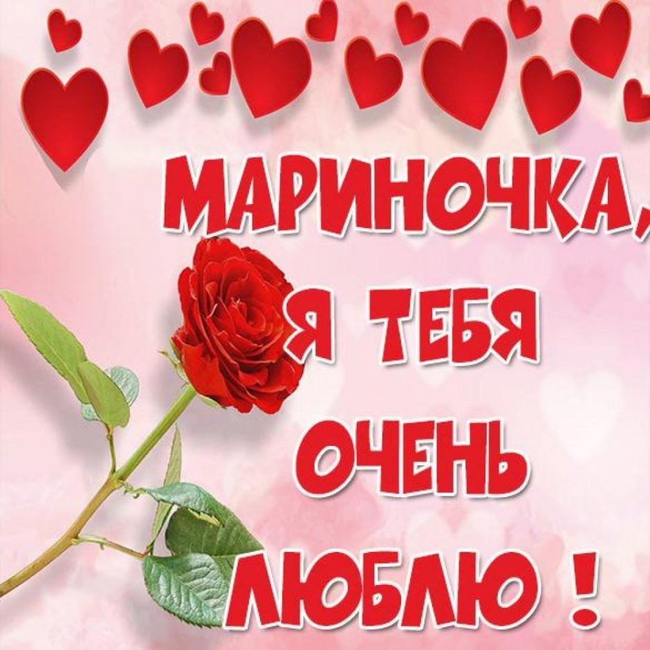 С 8 марта котенок