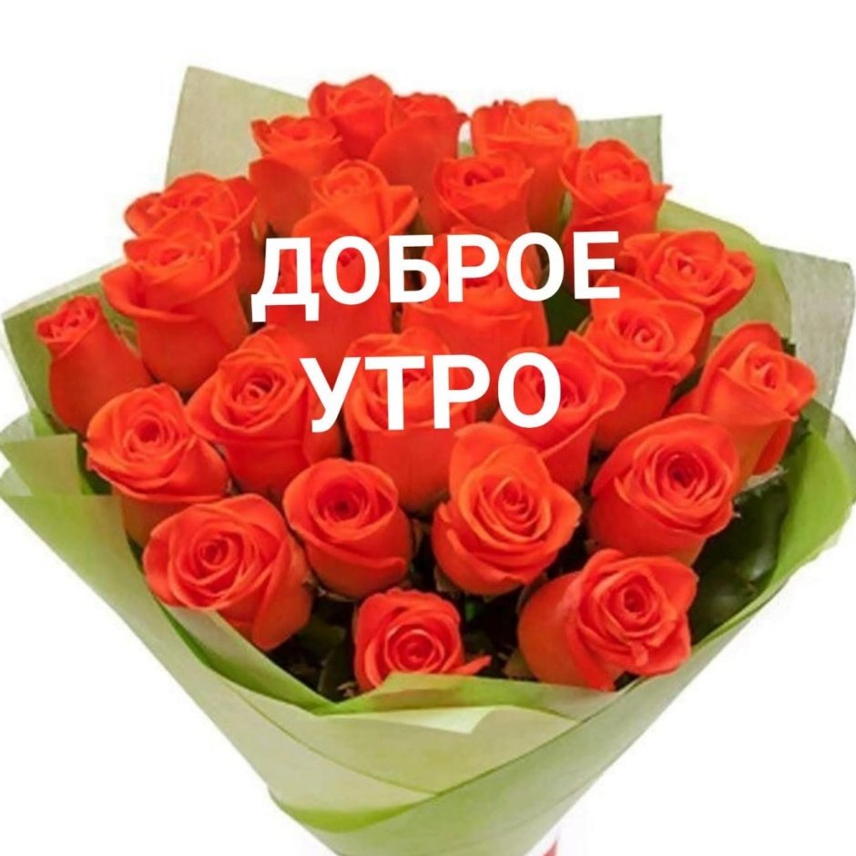 Поздравления с днём рождения Ольге