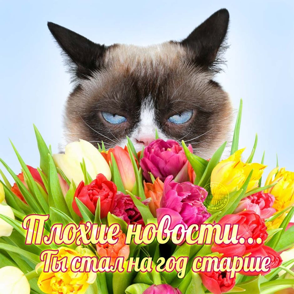 Красивые Веселые картинки с днем рождения