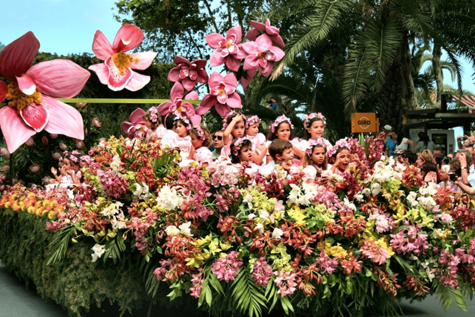 Фестиваль цветов Bloemencorso в Голландии