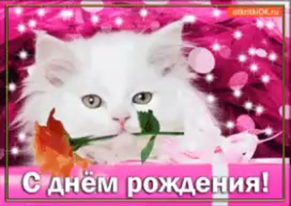 С днём рождения Яна