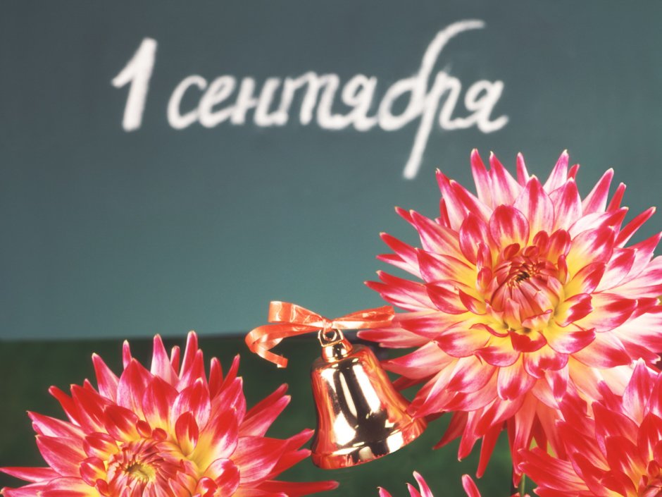 Открытка "с днем знаний"