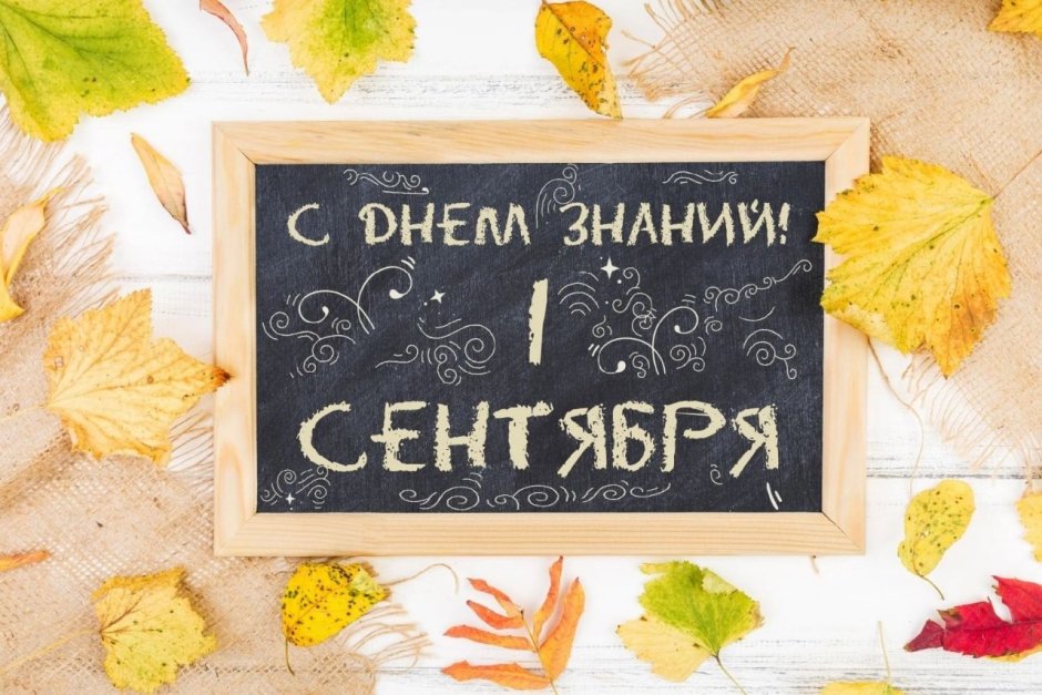 Баннер 1 сентября день знаний