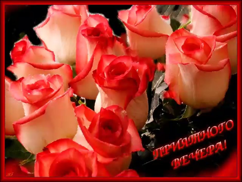 Поздравления с днём рождения