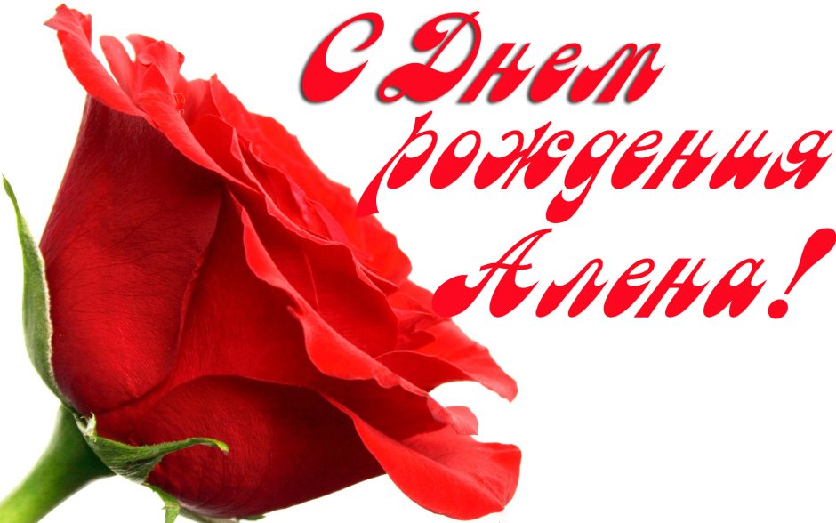 Поздравление с ромашками