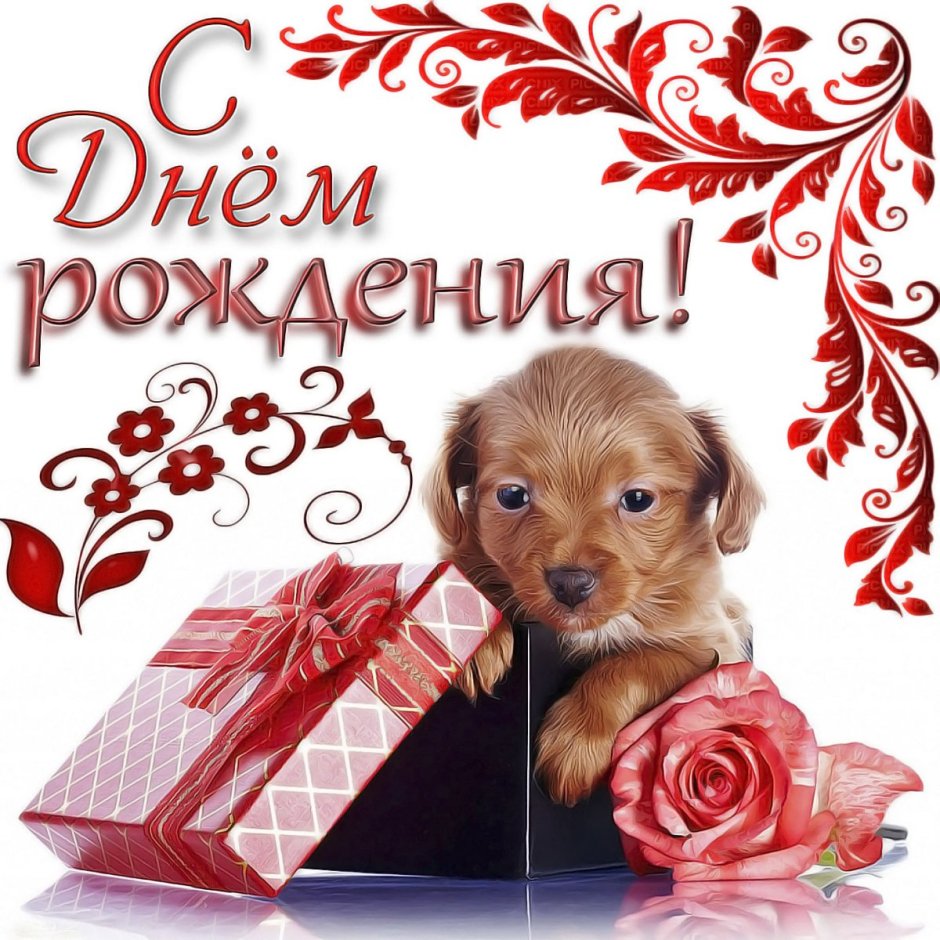 День рождения мамы