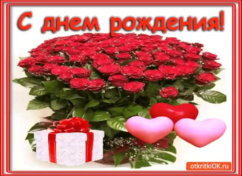 Поздравления с днём рождения плем