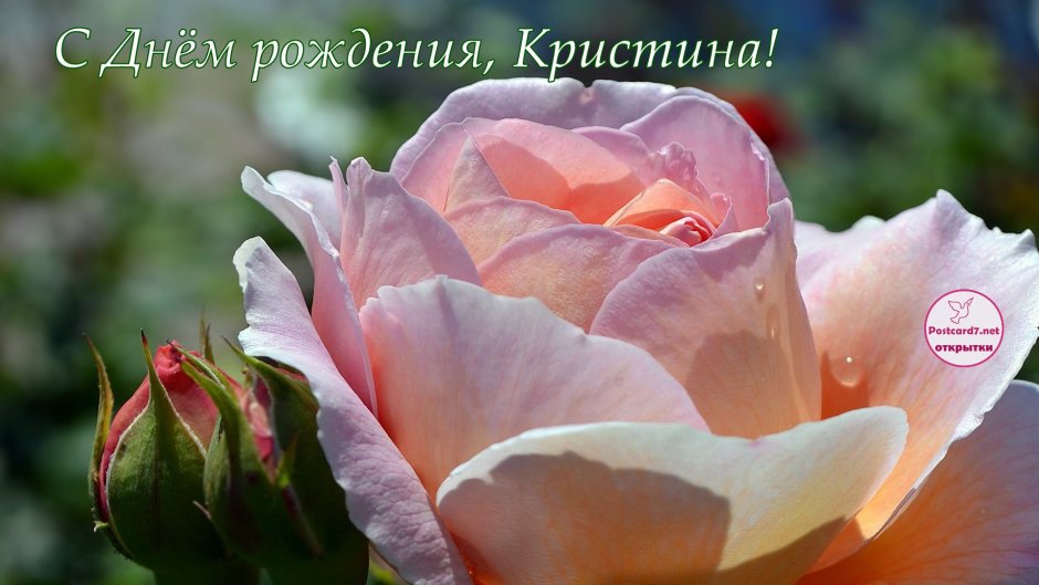 С днём рождения Нпдюша