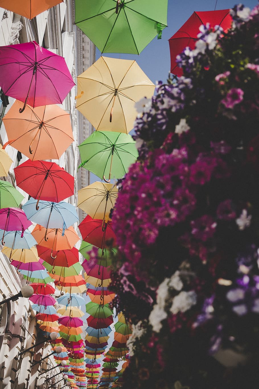 Цветочные зонтики