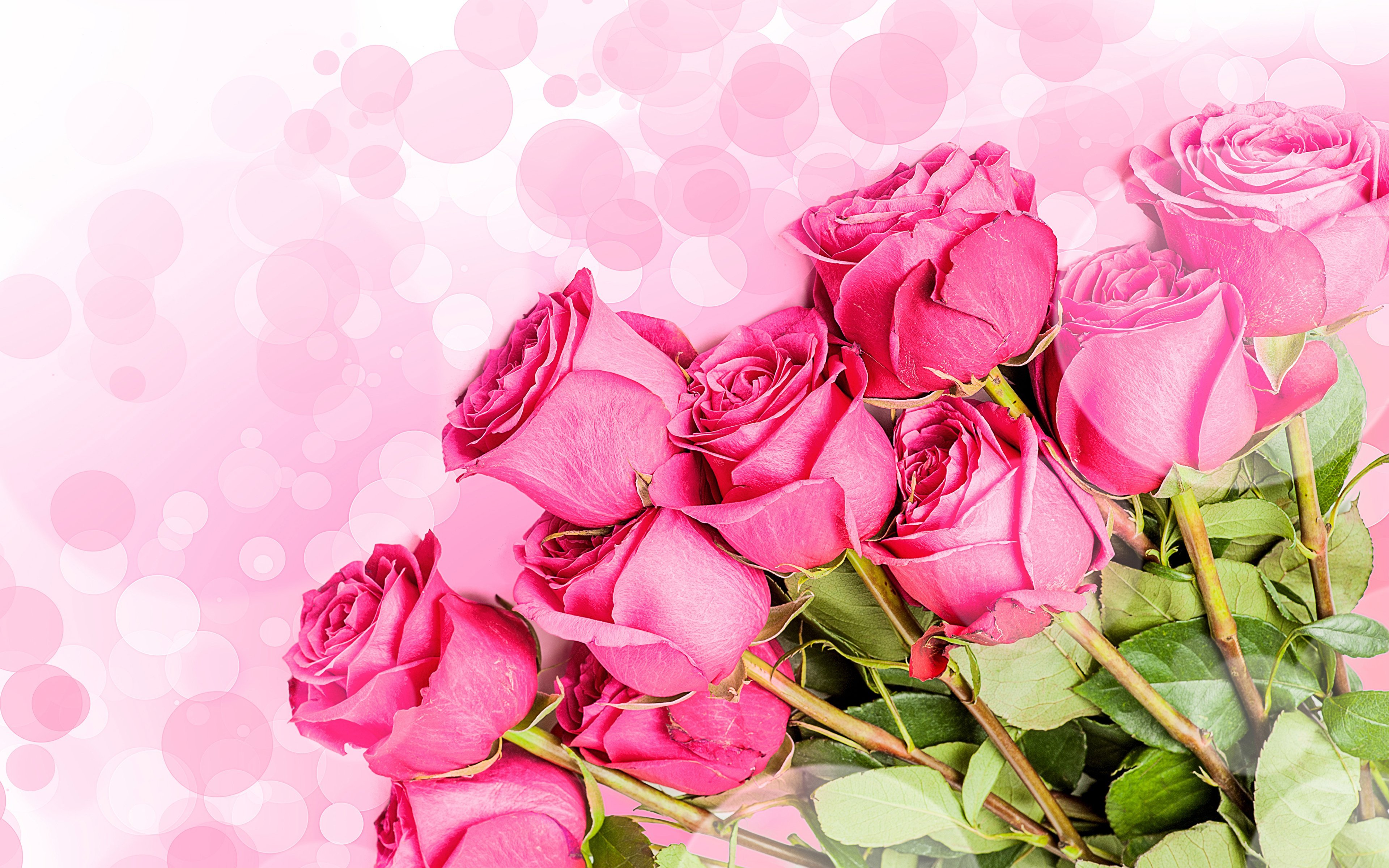 Открытка большой текст. Открытки поздравления. Красивый фон для открытки с днем рождения. Розовые розы фон. Цветы поздравления.