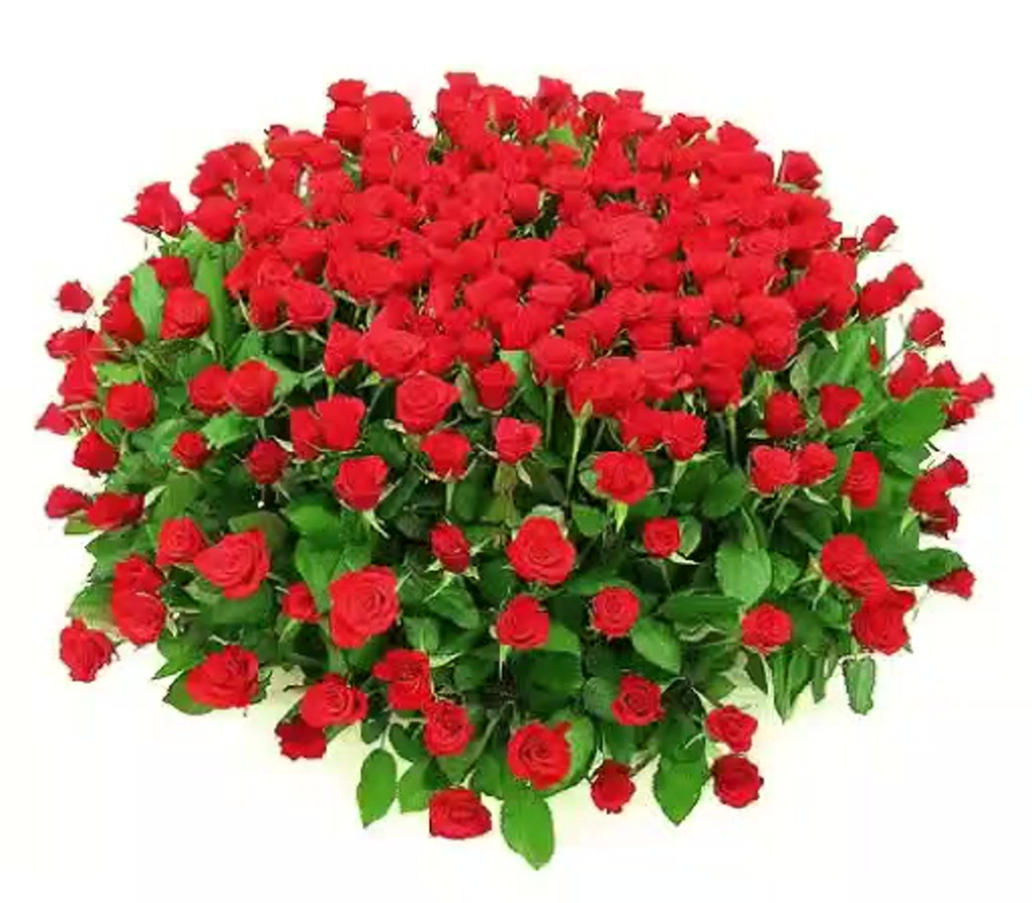 Красивые розы букеты с пожеланиями. Красивый букет. Букет "день рождения". Букет роз с днем рождения.