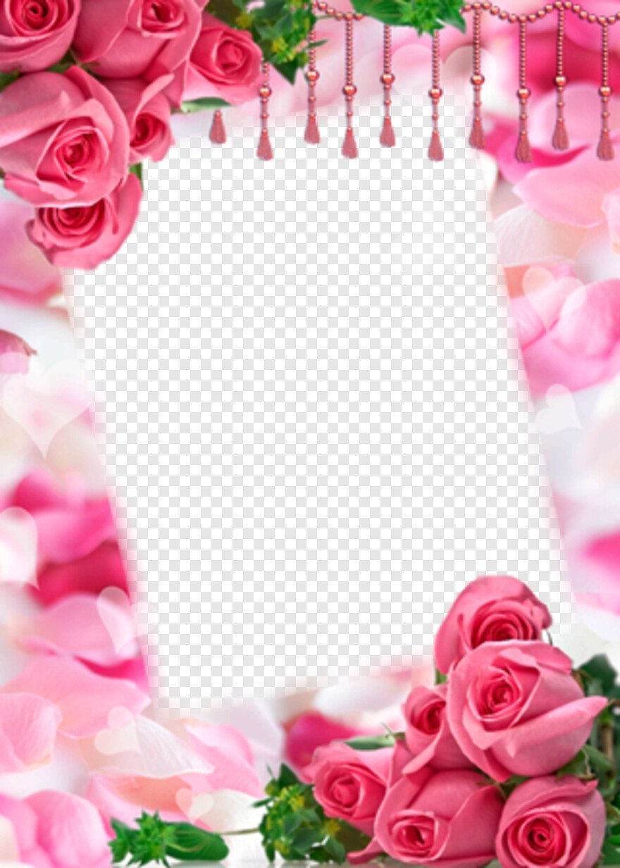 Рамки для фотографий с розами