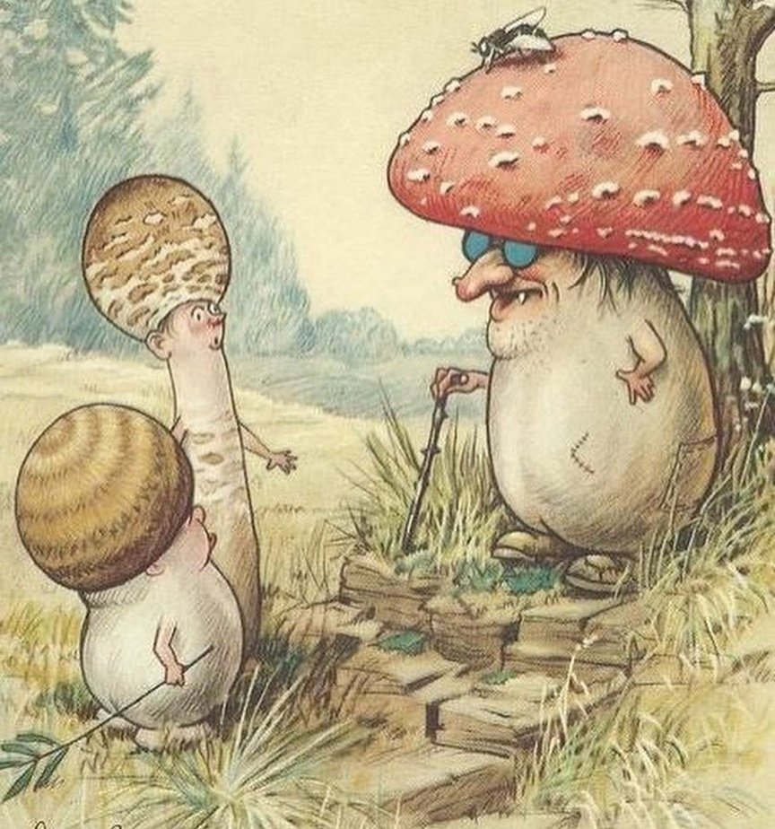 Добрейшего утра с грибами