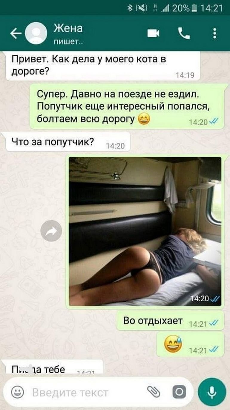 Сообщение WHATSAPP