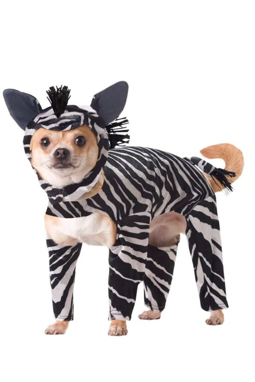 Карнавальные костюмы для собак