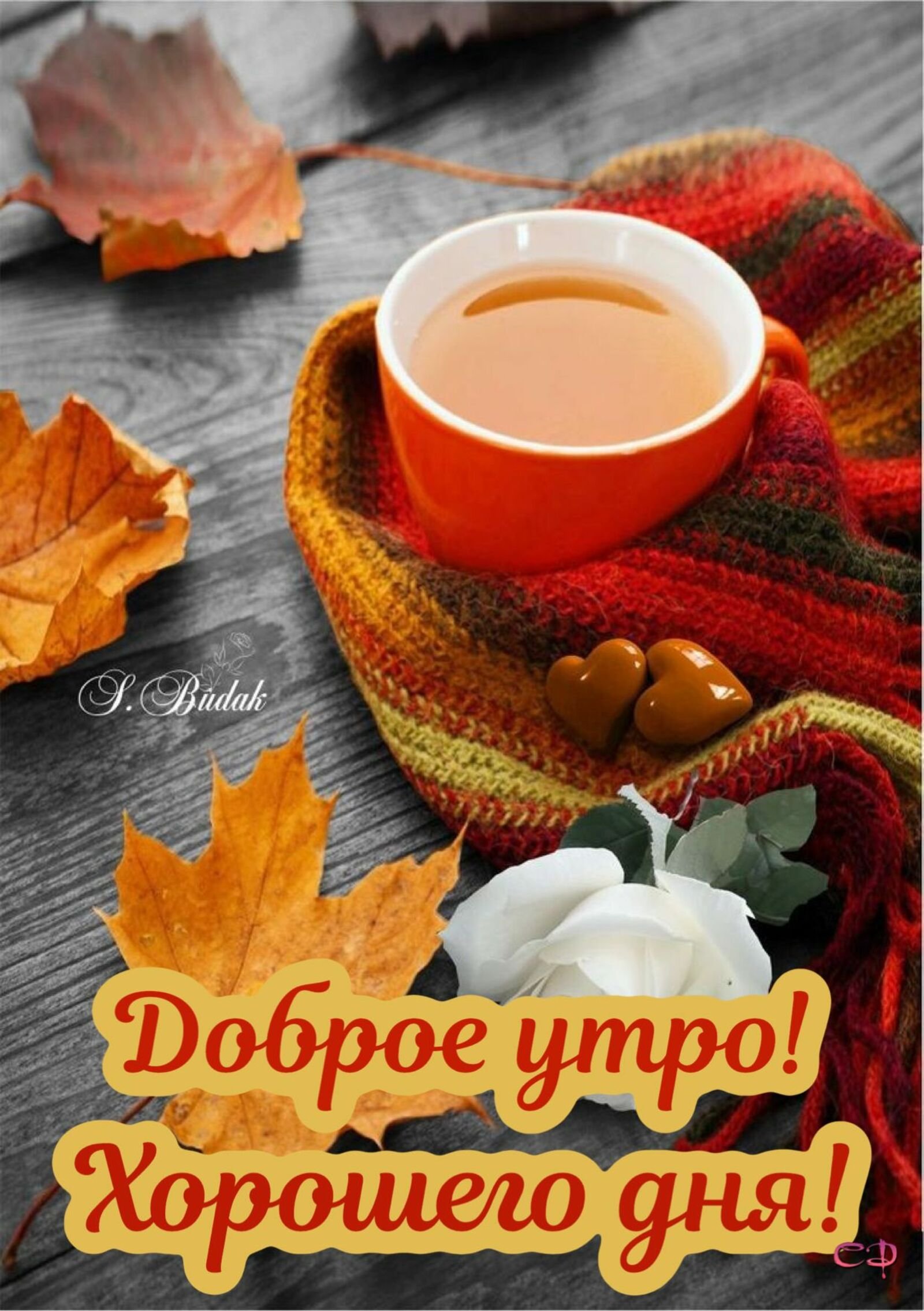 Красивая открытка с добрым осенним утром. Осенний кофе. Осень кофе. Доброе утро осень. Доброе осеннее утро.