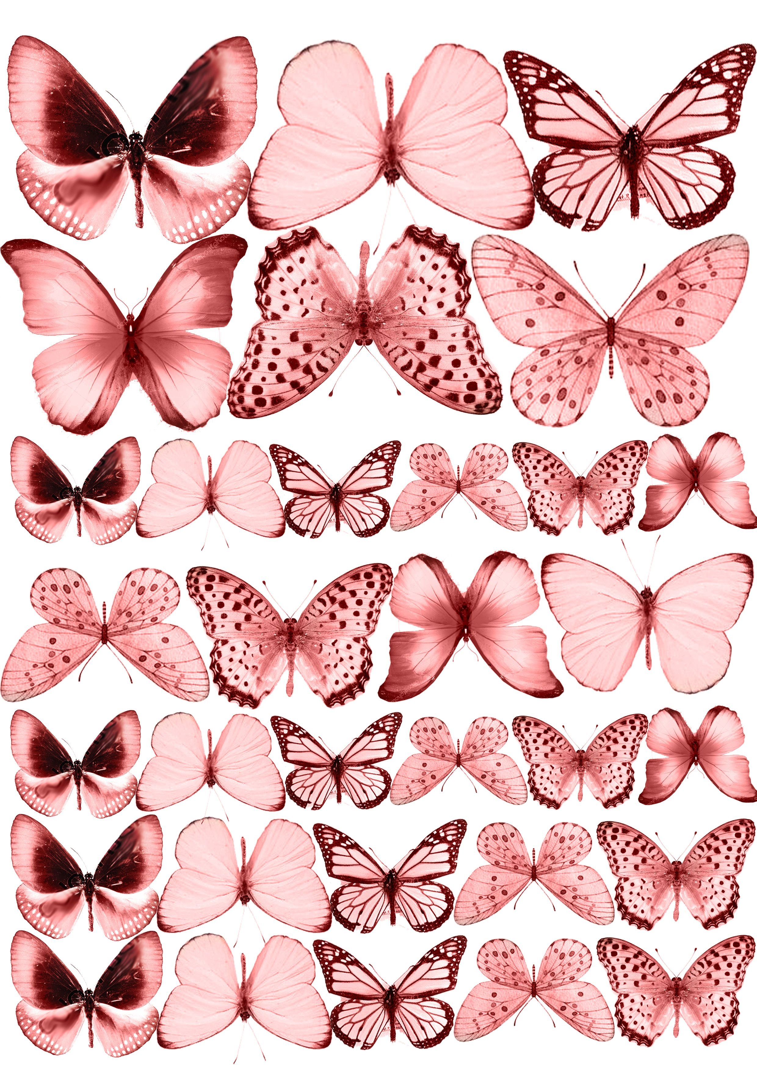 Бабочки для торта картинки для печати. Розовые бабочки. Торт «бабочки». Розовые бабочки на вафельной бумаге. Бабочки нежно розовые.