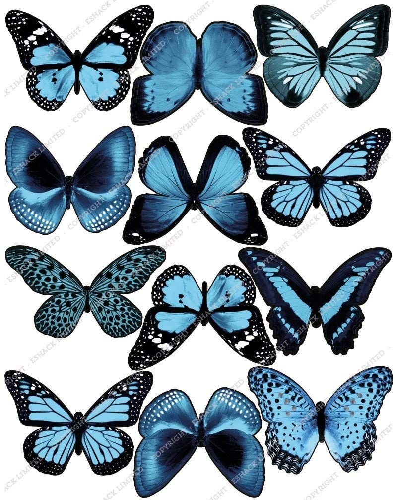Бабочки съедобная печать