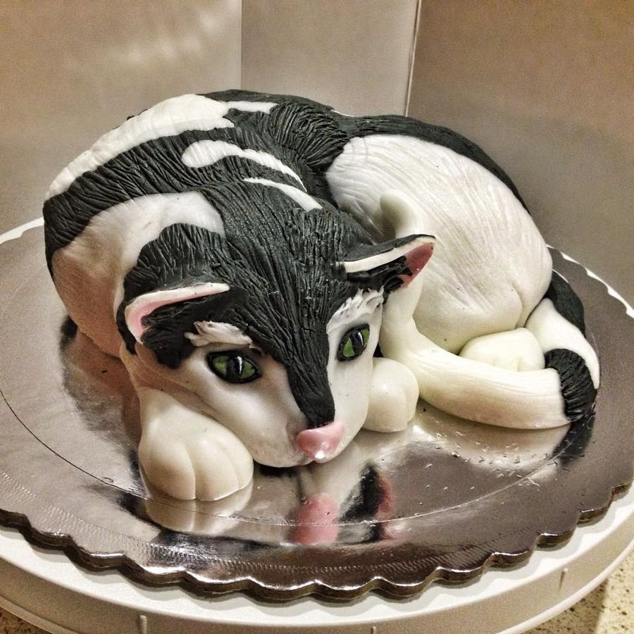 Торт с серыми котами