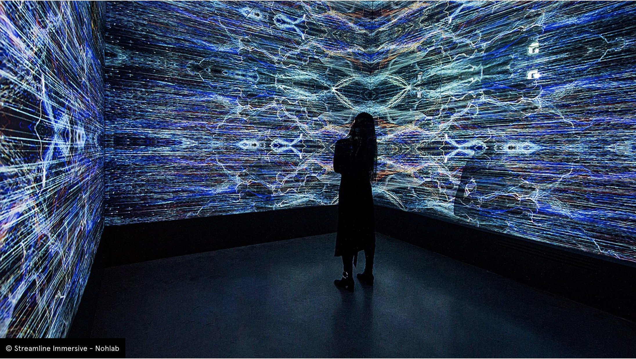 Художественный образ в цифровом пространстве 2024. Иммерсивная инсталляция. Цифровые инсталляции. Иммерсивные пространства. Интерактивные инсталляции в искусстве.