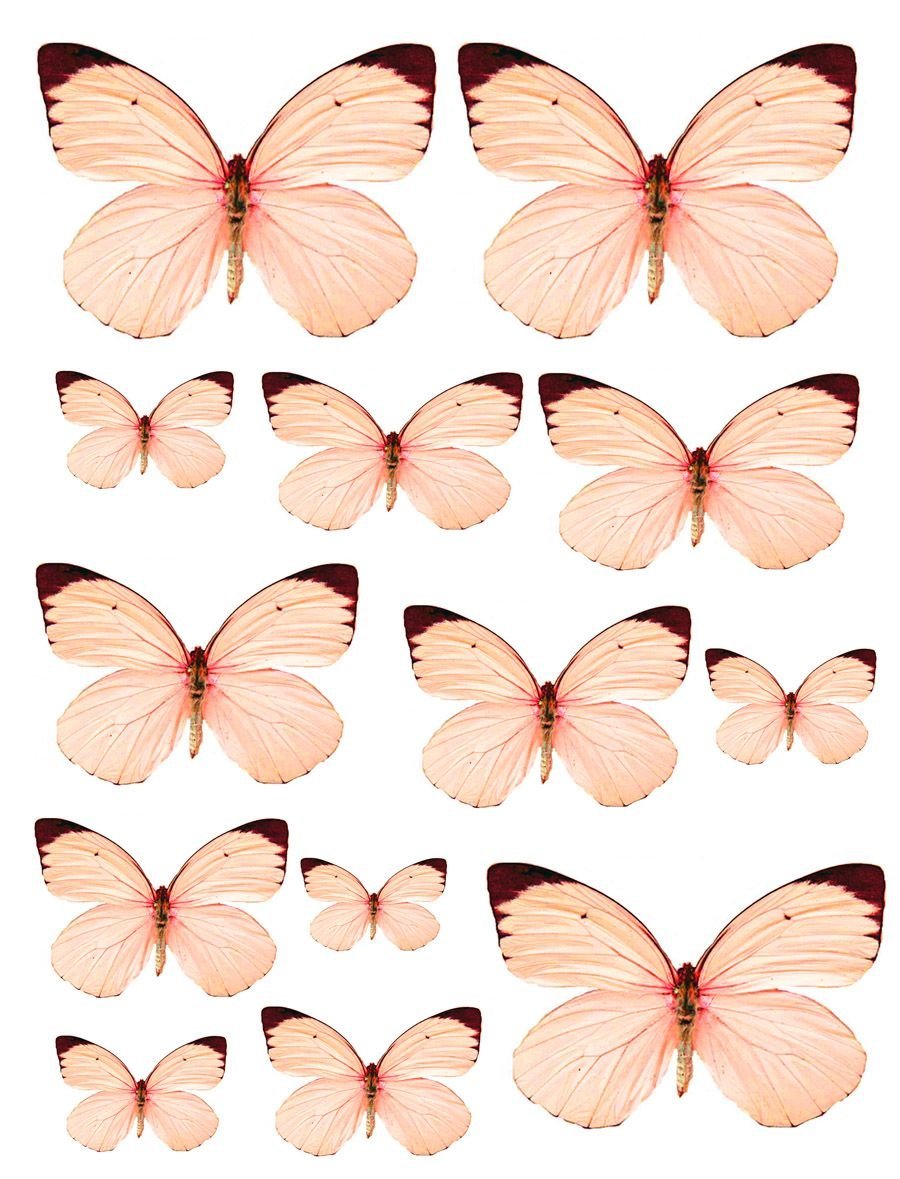 Бабочки для скрапбукинга