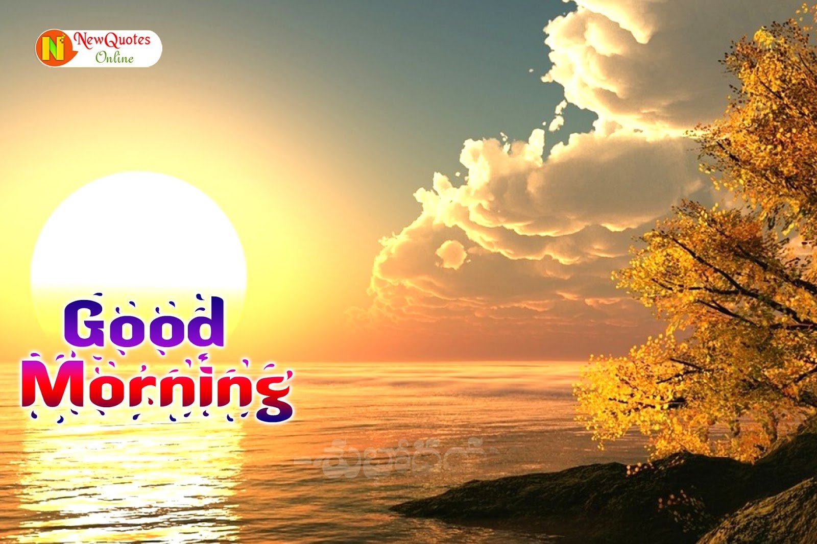 Good morning картинки. Good morning картинки красивые. Открытка good morning природа. Good morning картинки прикольные с надписями.