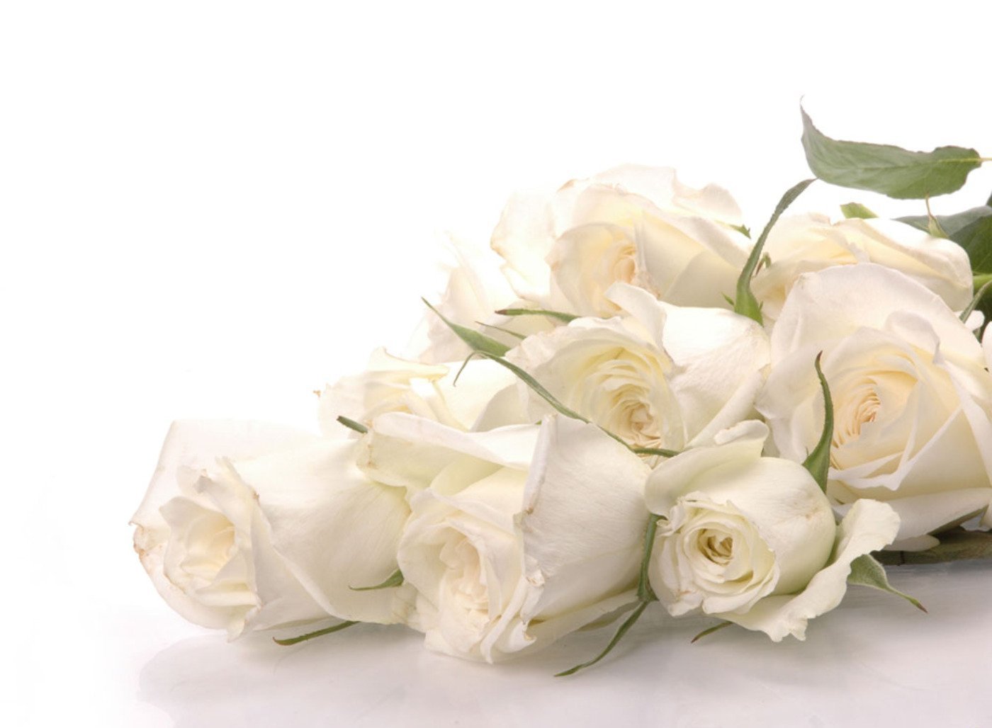 Христианские пожелания. Роза Вайт Найт. Открытки с белыми розами. Открытки с днем рождения белые розы. Открытка с юбилеем белые розы.