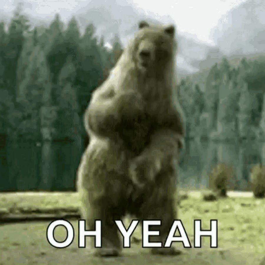 Медведи танцуют гифка
