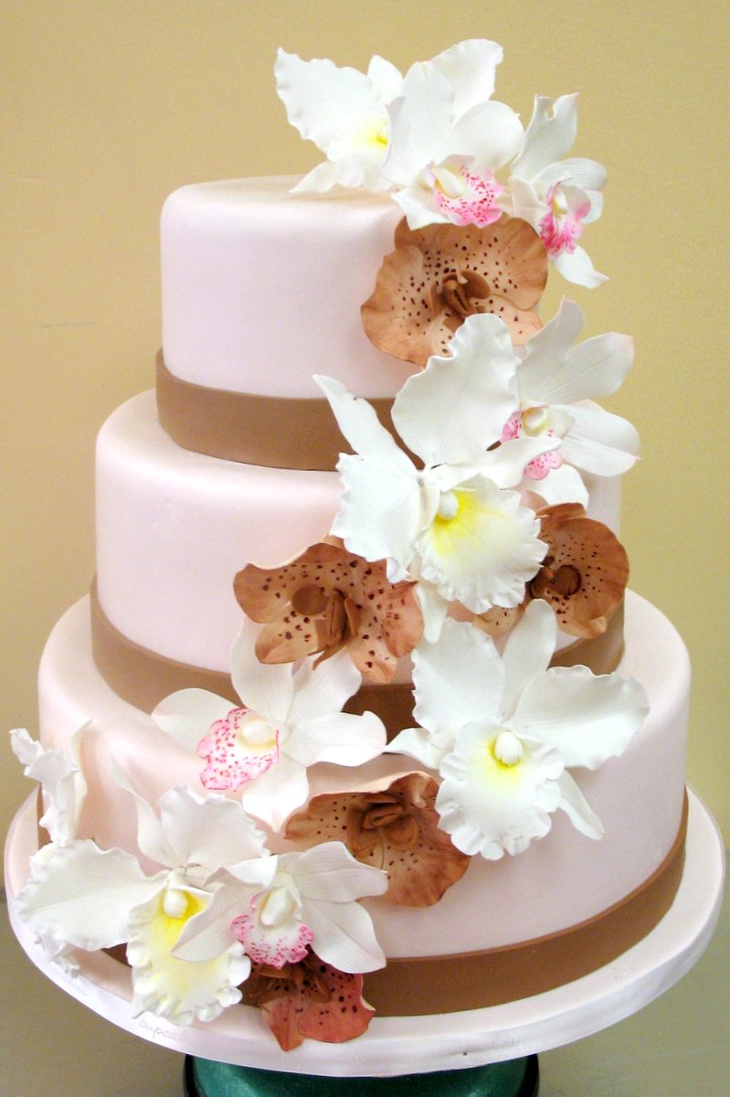Прямоугольный торт с орхидеями