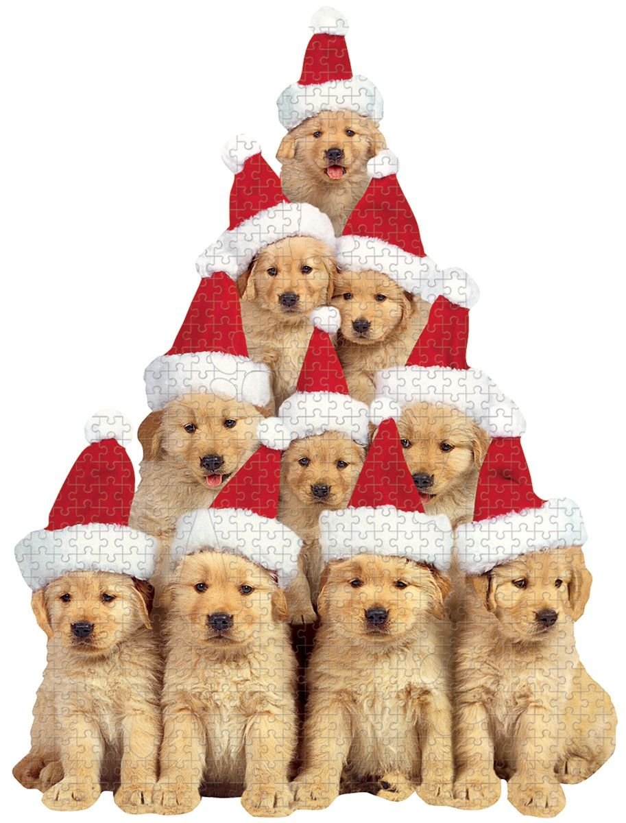Собака Рождество
