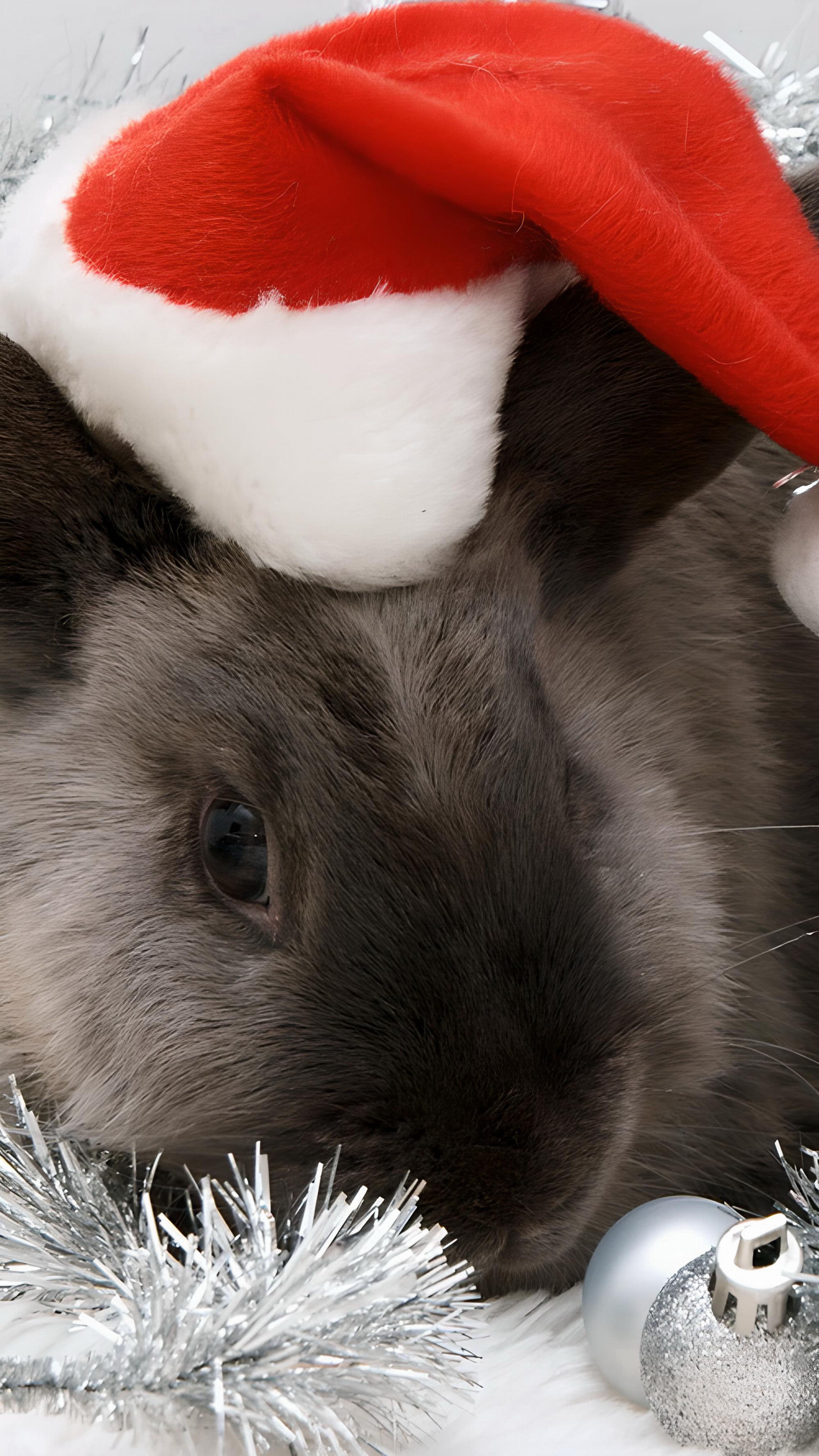 Новым годом год кролика. Новогодний кролик. Новогодний заяц. Кролик новый год. Новогодний кролик фото.