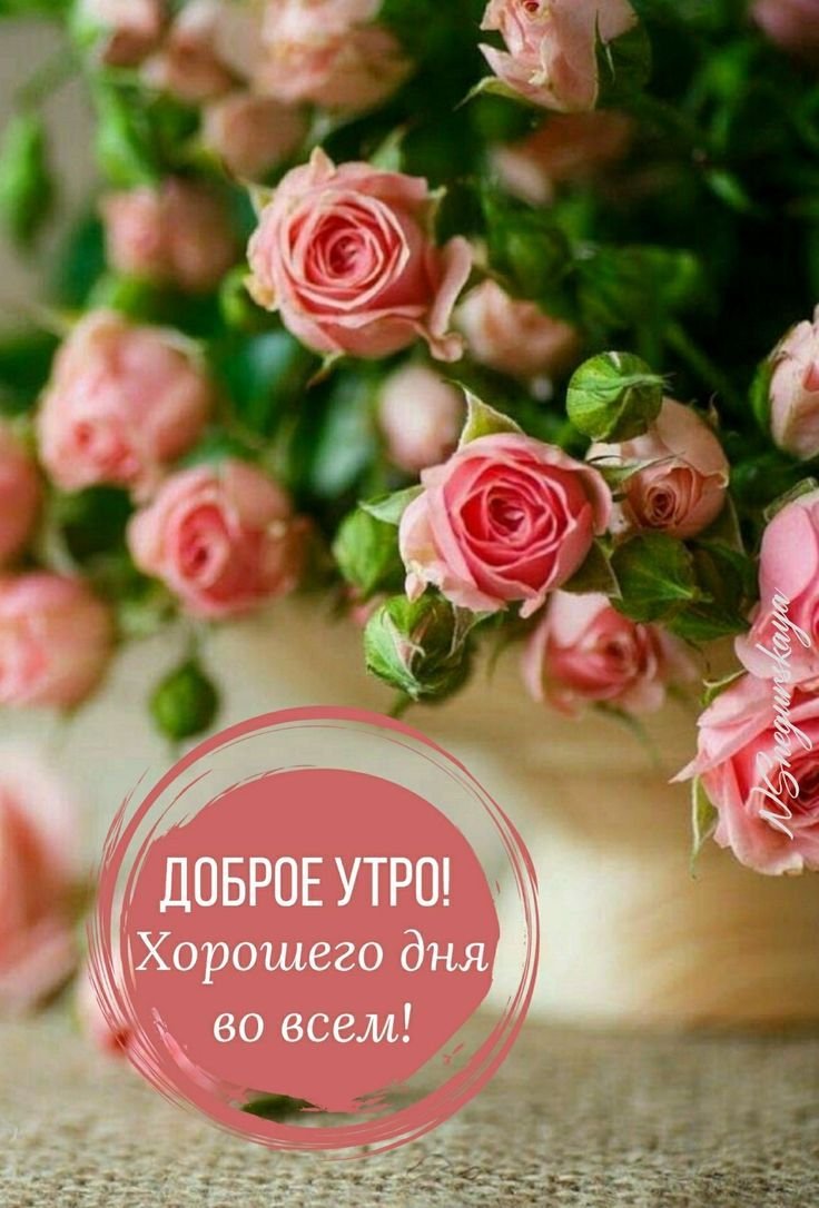 С днём рождения розовые розы