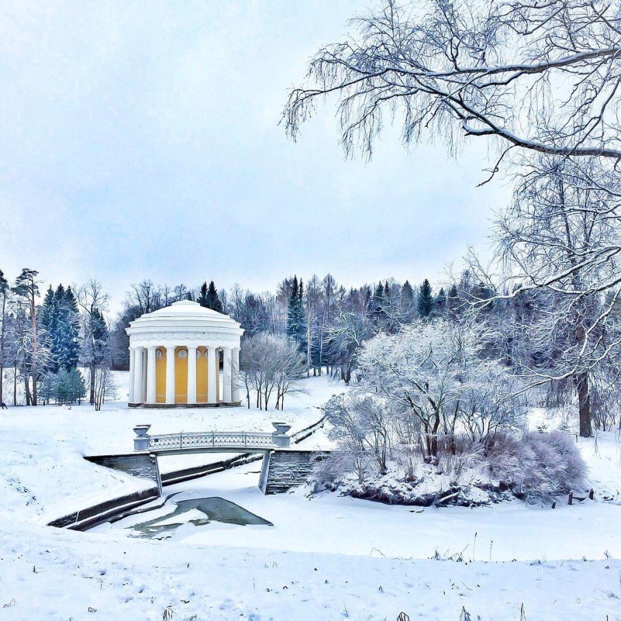 Павловск парк зимой