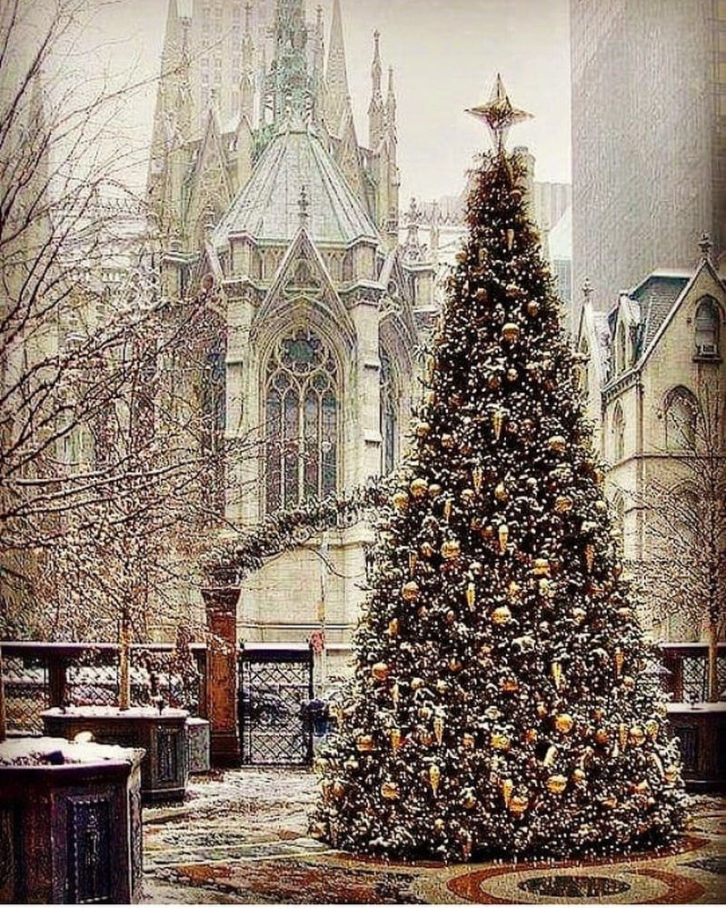 Рождественская елка на улице