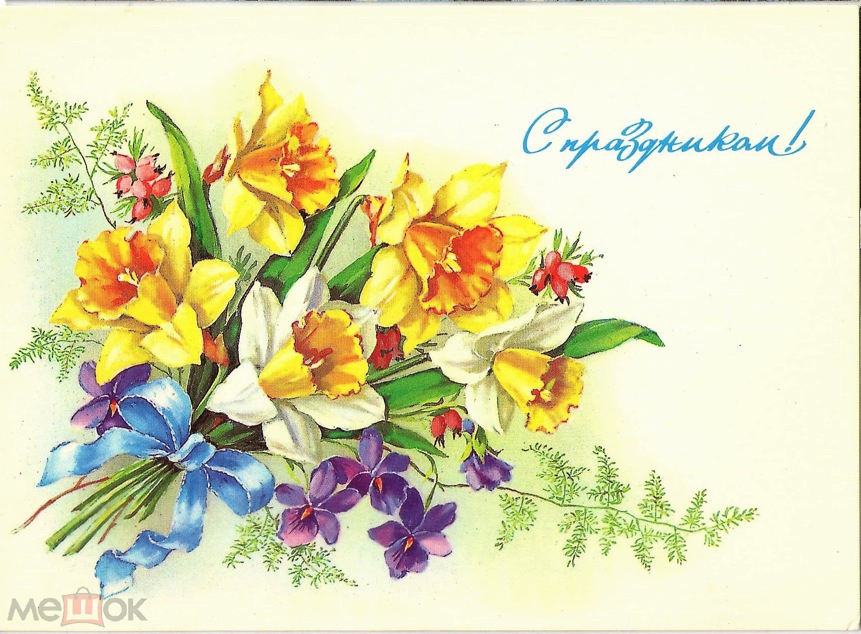 Открытки с нарциссами. Открытка «Нарцисс». Советские открытки цветы. Советские открытки с нарциссами.