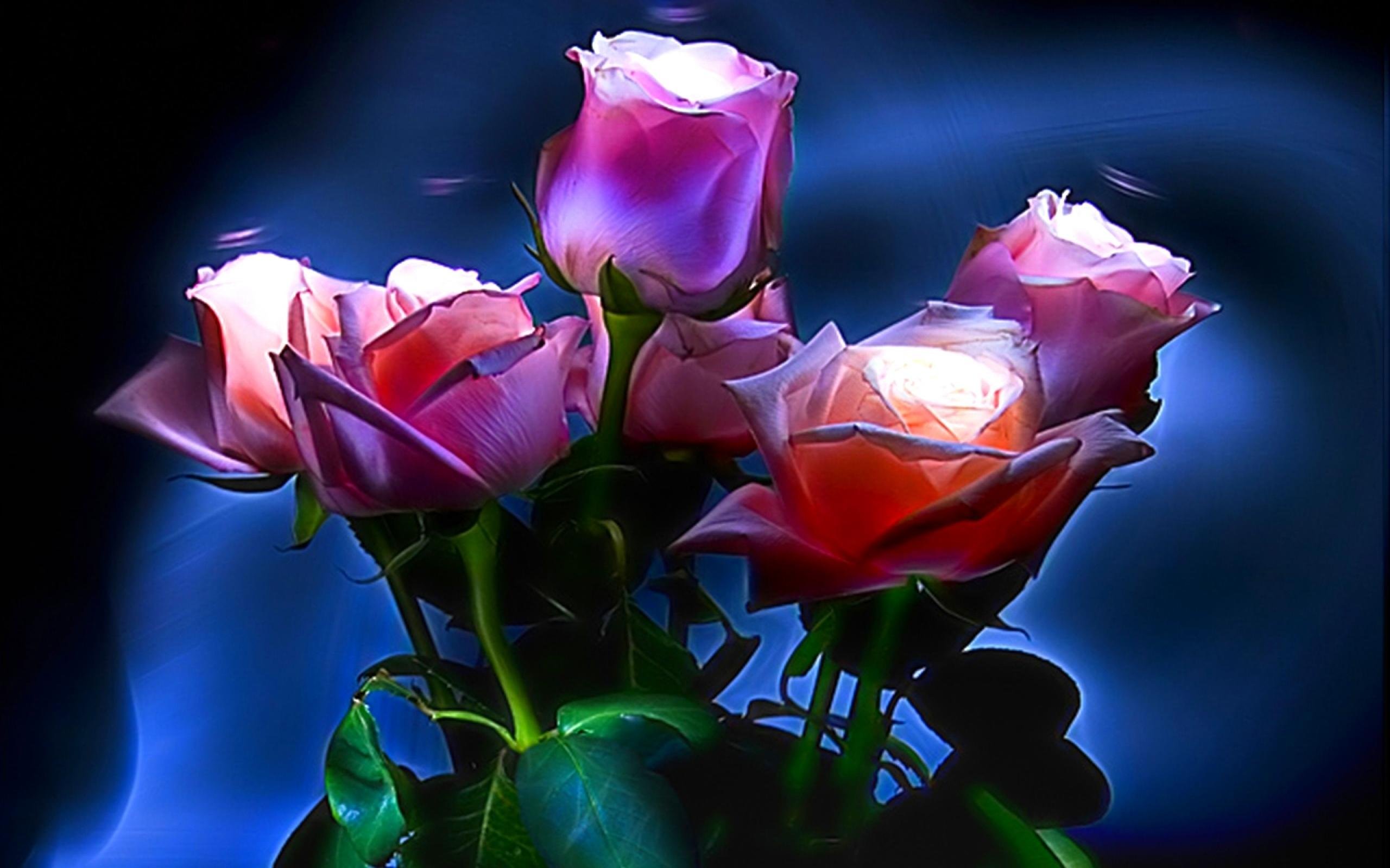 Розы букет вечер. Красивые цветы. Красивые розы. Вечерние цветы. Вечерний букет цветов.