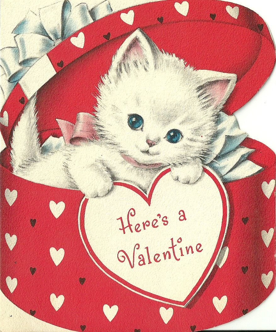 Любимый котенок картинки. Валентинки с котиками. Милые валентинки. Открытка любимому. Открытка «любить».