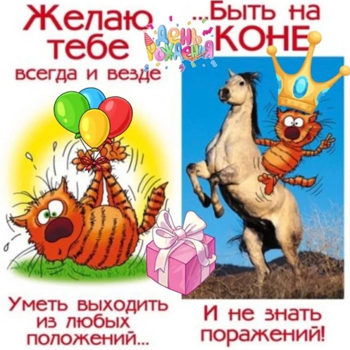 Открытки с днем рождения соседу — 🎁 Скачать бесплатно картинки с пожеланиями на turkishhub.ru